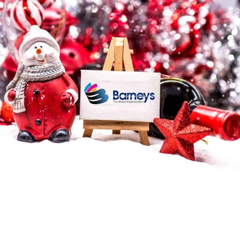 Christmas Promotion Printing